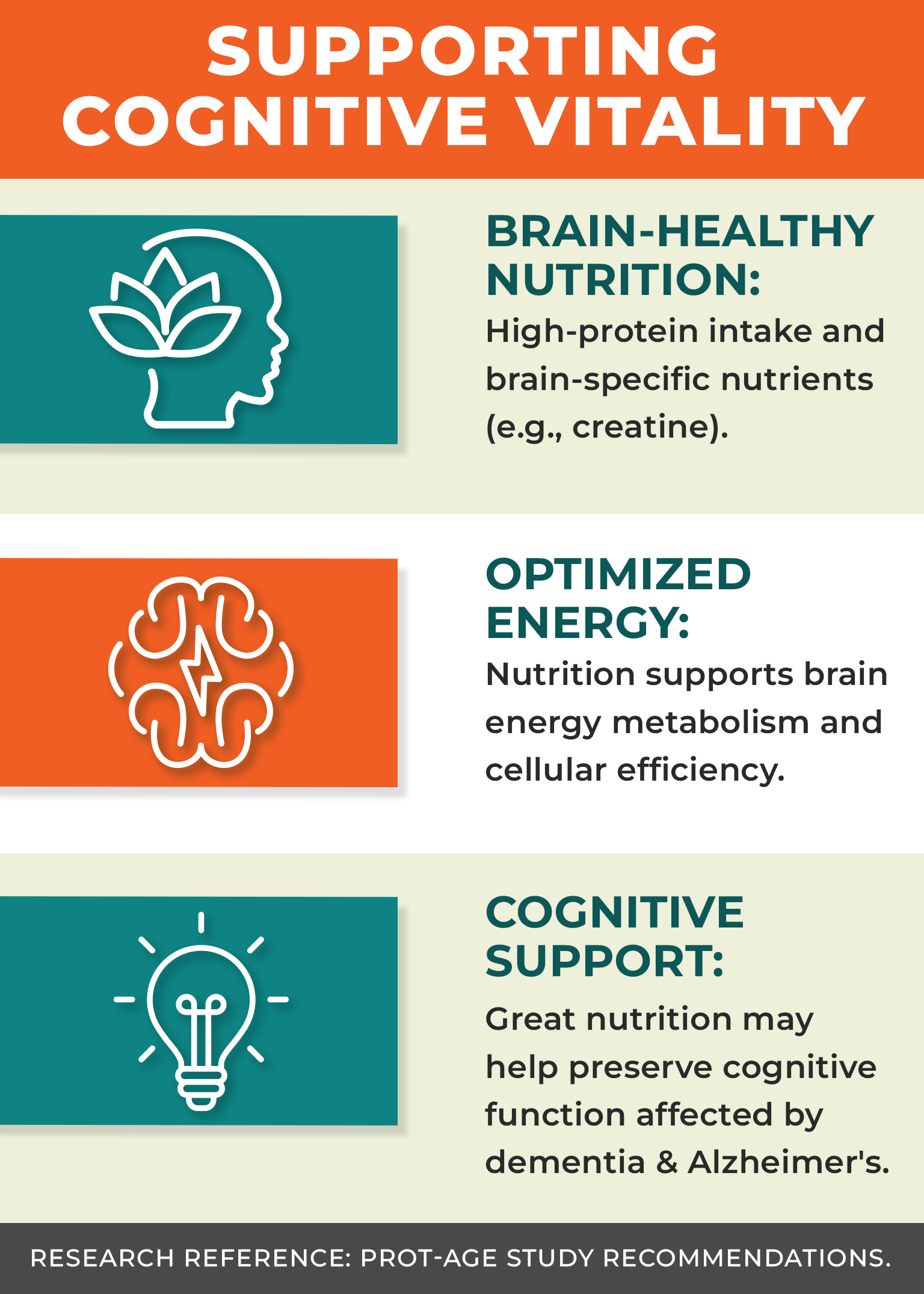 Supporting Cognitive Vitality Infographic